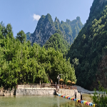 zlwq03140602